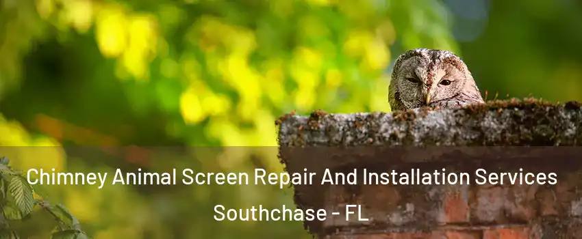  Chimney Animal Screen Repair And Installation Services Southchase - FL