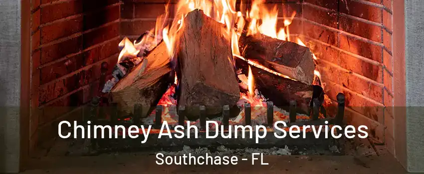  Chimney Ash Dump Services Southchase - FL