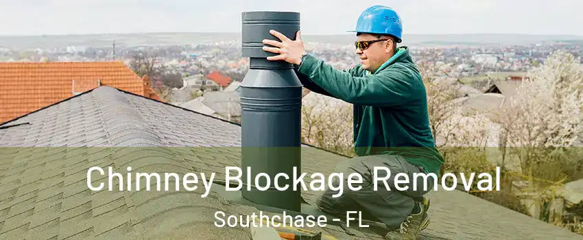  Chimney Blockage Removal Southchase - FL