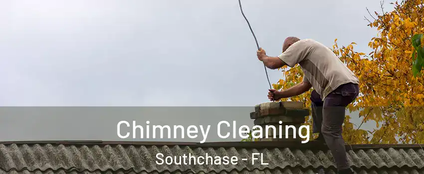  Chimney Cleaning Southchase - FL