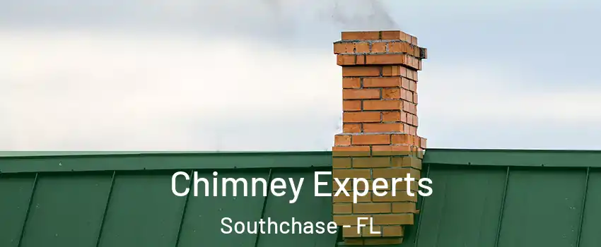  Chimney Experts Southchase - FL