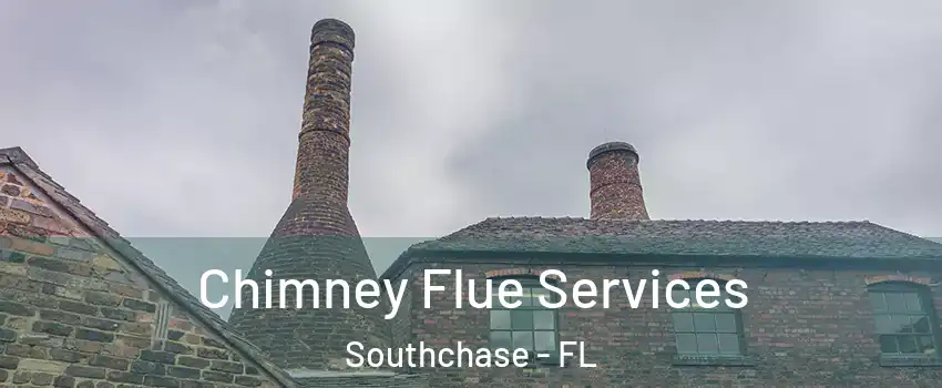  Chimney Flue Services Southchase - FL
