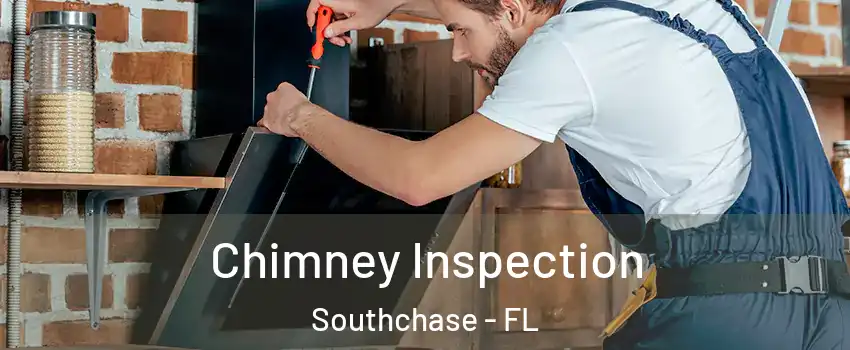 Chimney Inspection Southchase - FL