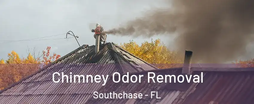  Chimney Odor Removal Southchase - FL