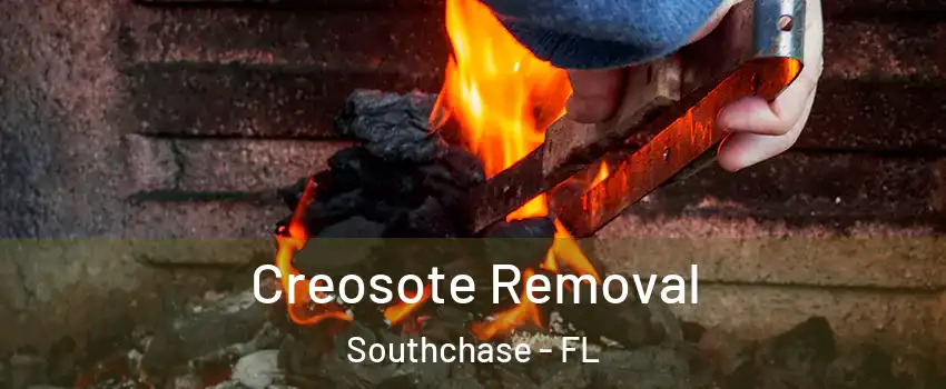  Creosote Removal Southchase - FL