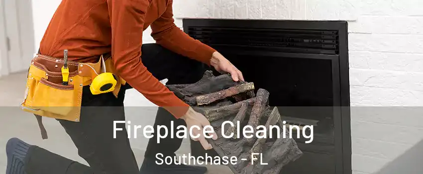  Fireplace Cleaning Southchase - FL