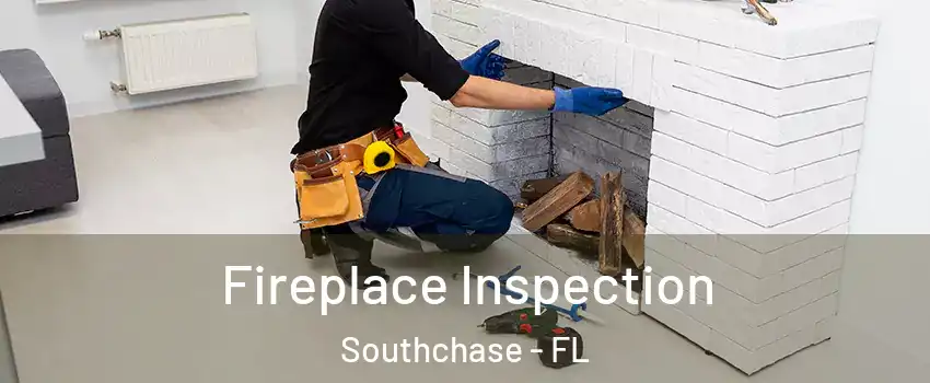  Fireplace Inspection Southchase - FL