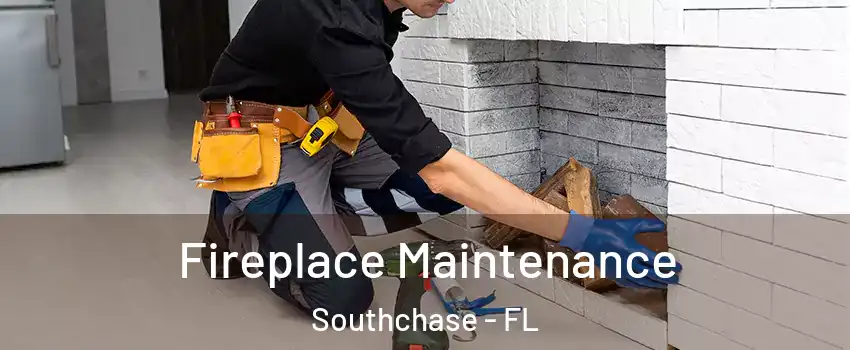  Fireplace Maintenance Southchase - FL