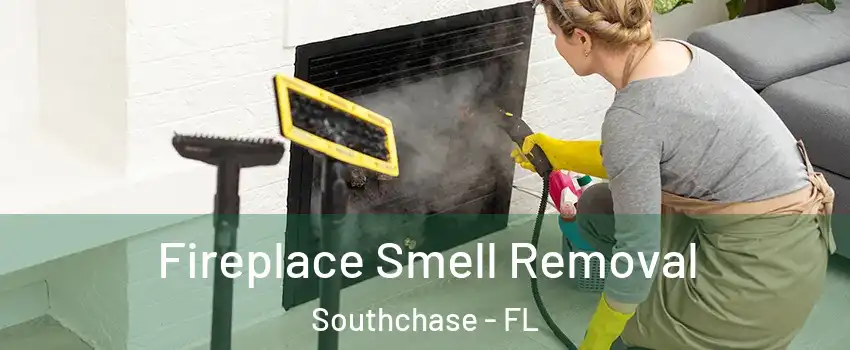  Fireplace Smell Removal Southchase - FL