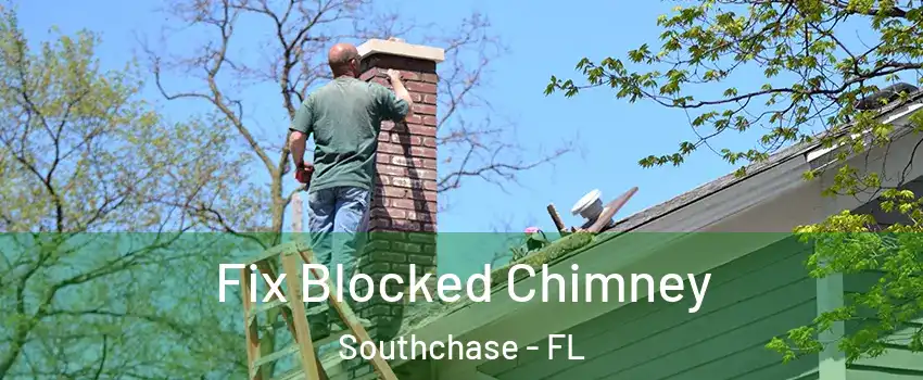  Fix Blocked Chimney Southchase - FL