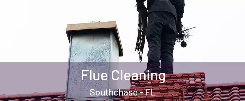  Flue Cleaning Southchase - FL
