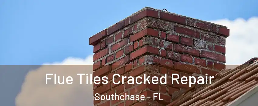  Flue Tiles Cracked Repair Southchase - FL