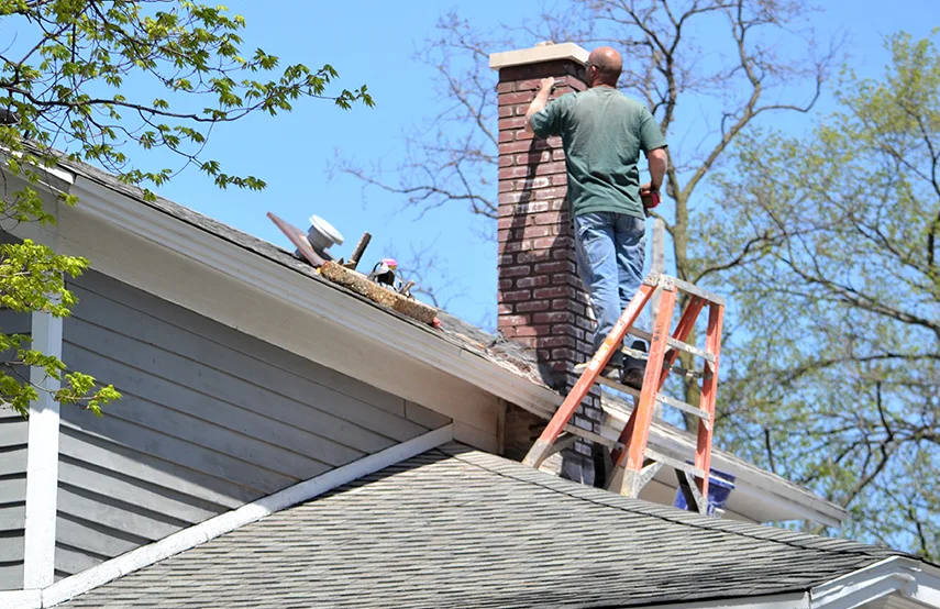 Chimney & Fireplace Inspections Services in Southchase, FL