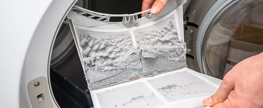 Best Dryer Lint Removal Company in Southchase, Florida