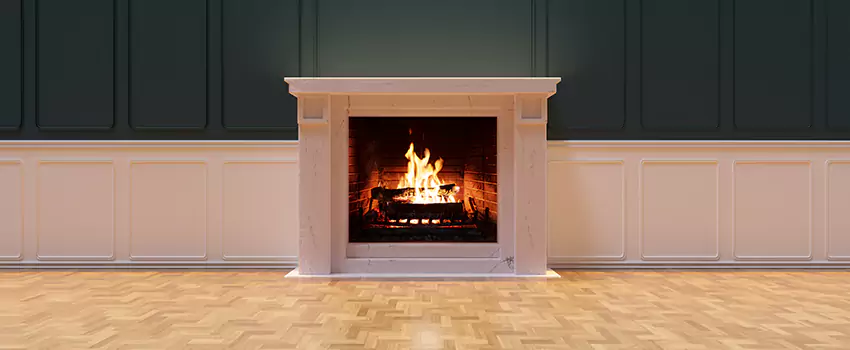 Napoleon Electric Fireplaces Inspection Service in Southchase, Florida