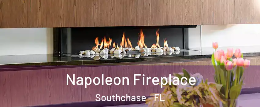  Napoleon Fireplace Southchase - FL