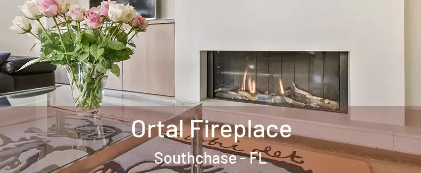  Ortal Fireplace Southchase - FL