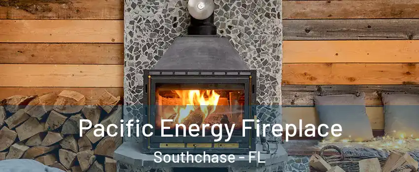  Pacific Energy Fireplace Southchase - FL
